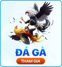 đá gà kuwin